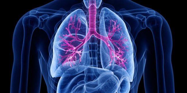 什么是慢性阻塞性肺病 (Chronic Obstructive Pulmonary Disease)，為何與新冠疫情有關(guān)？